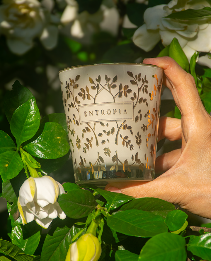 Vela com Ouro Luminous Gardenia 240g