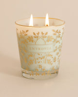 Vela com Ouro Celeste 240g