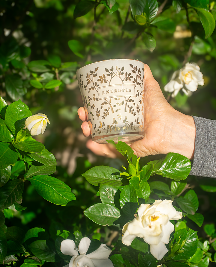 Vela com Ouro Luminous Gardenia 240g